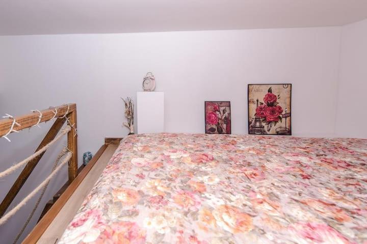 Apartment Eliora & Aelia *