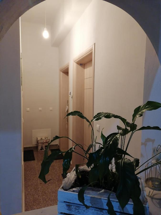 Eliora & Aelia Apartment